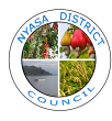 Nyasa District Council